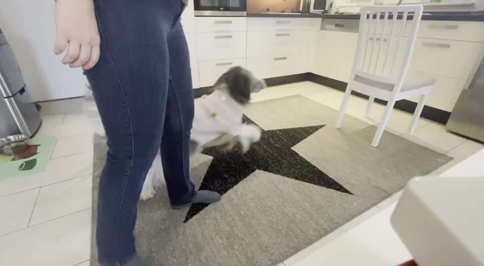 Trick Challenge Nr.5-Beitrag-Bild