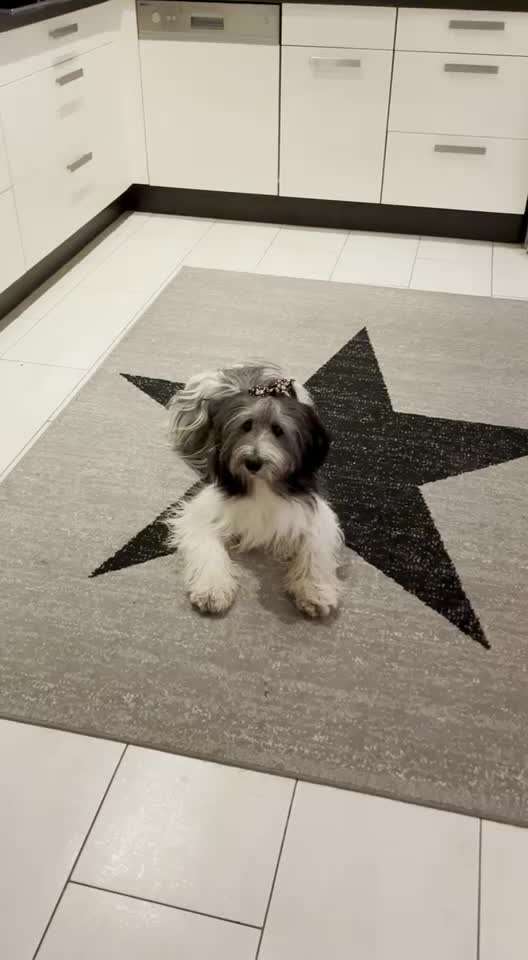 TRICK CHALLENGE NR. 10-Beitrag-Bild