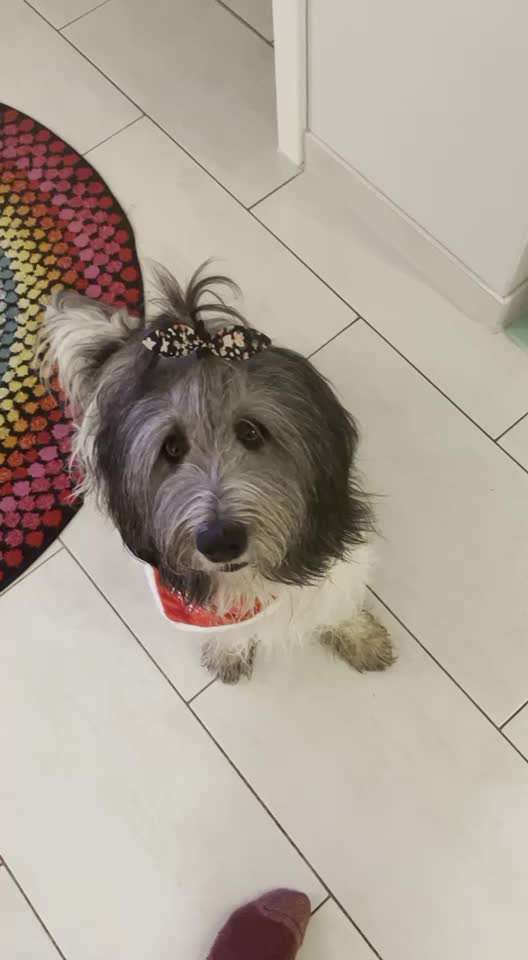 Trick Challenge Nr.5-Beitrag-Bild