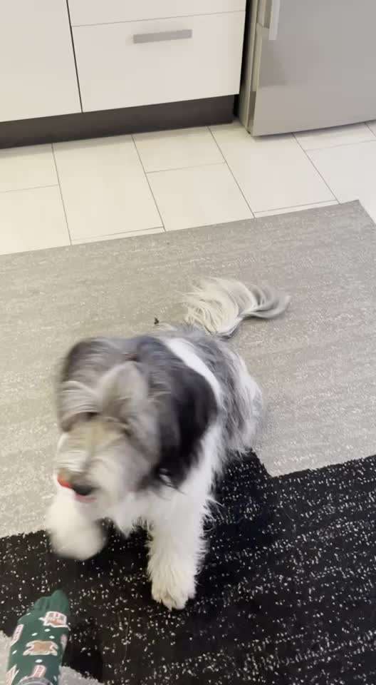 Trick Challange Nr 3-Beitrag-Bild