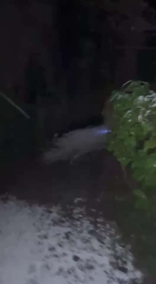 Impulskontrollübung Nr. 66 Reichmann‘sche Richtungsumkehr-Beitrag-Bild