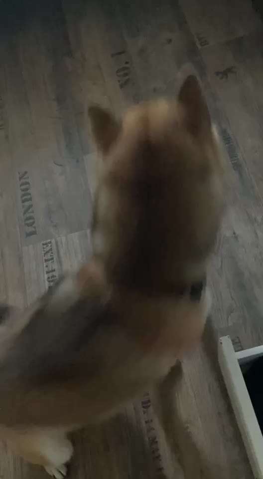 36. Trick-Challenge: Aufräumen!-Beitrag-Bild