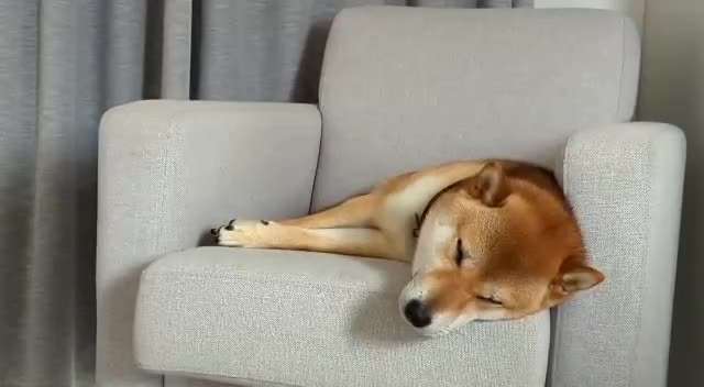 40. Handy Video Challenge - Im Land der Träume-Beitrag-Bild