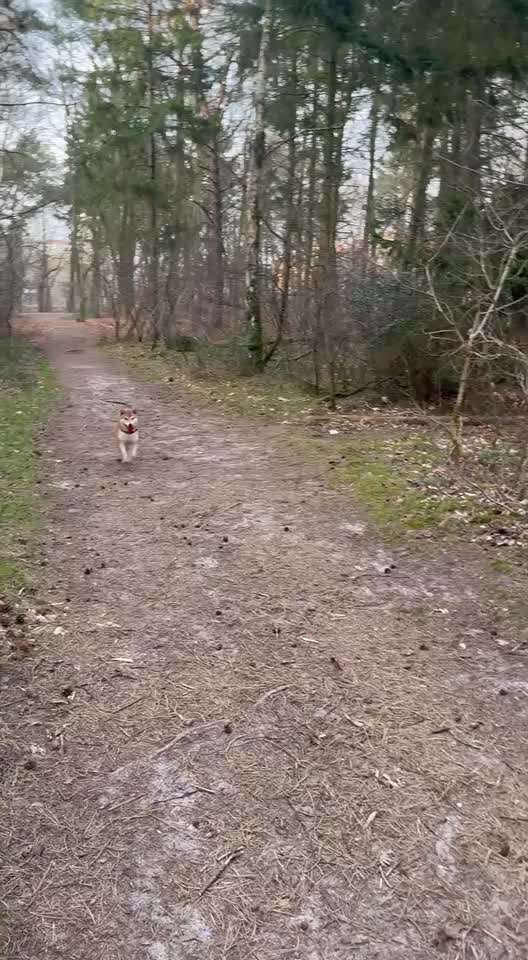 Hat an nichts Interesse-Beitrag-Bild