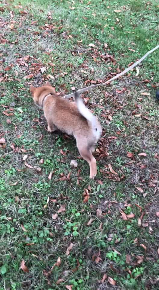 Abholung/Autofahrt-Beitrag-Bild