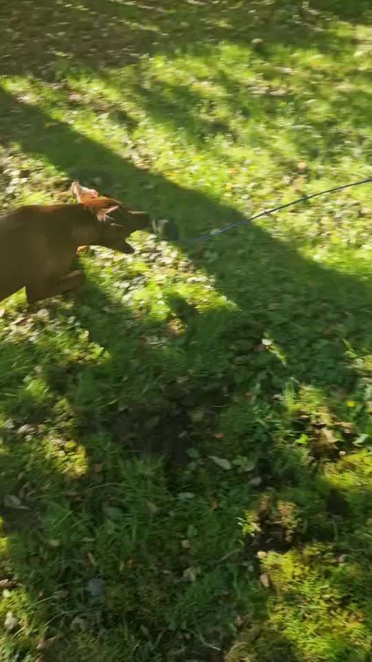 Training Reizangel-Beitrag-Bild