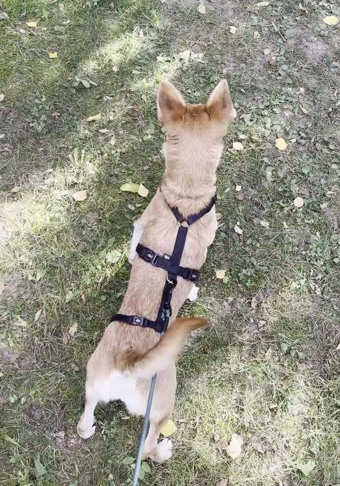 Probleme angehen..-Beitrag-Bild