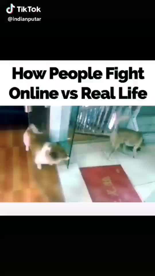 Muss " sich auskotzen" wirklich sein?-Beitrag-Bild