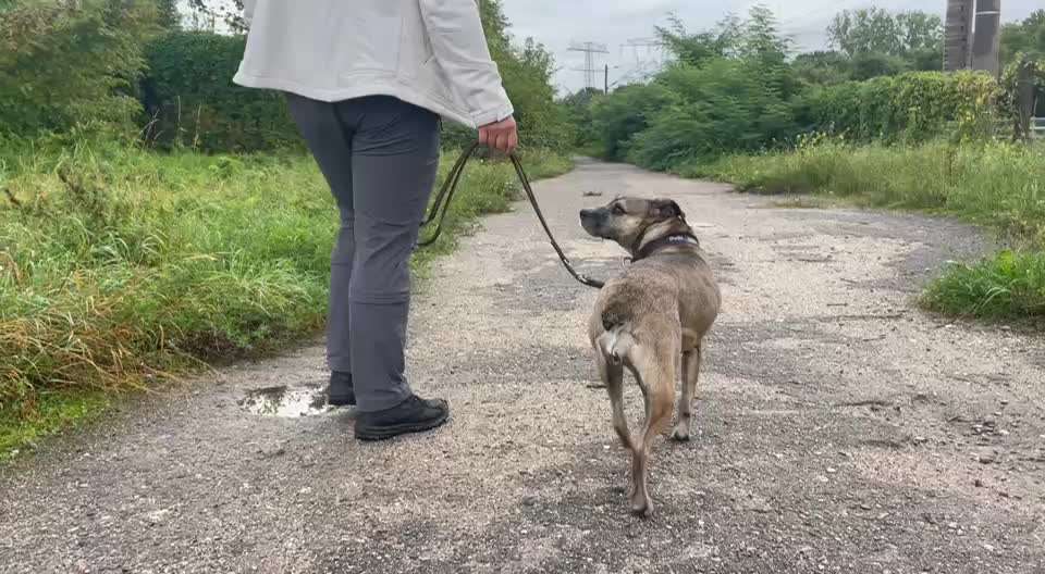 Gangbild/-analyse-Beitrag-Bild