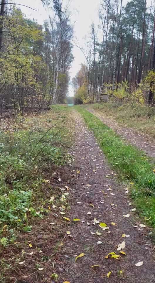 Was hat euch heute gefreut?-Beitrag-Bild