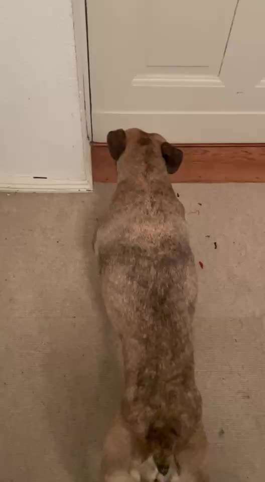 56. Impulskontrollchallenge : Ich warte auf dich !-Beitrag-Bild