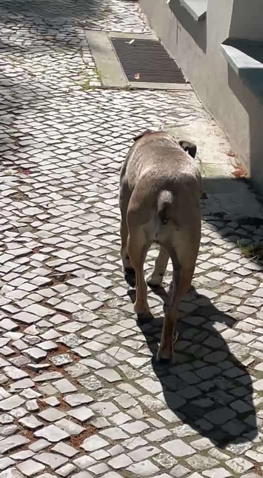 Verhaltensveränderung im Urlaub-Beitrag-Bild
