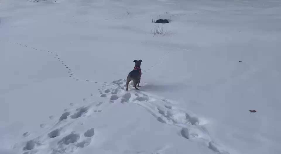 Was hat euch heute gefreut?-Beitrag-Bild