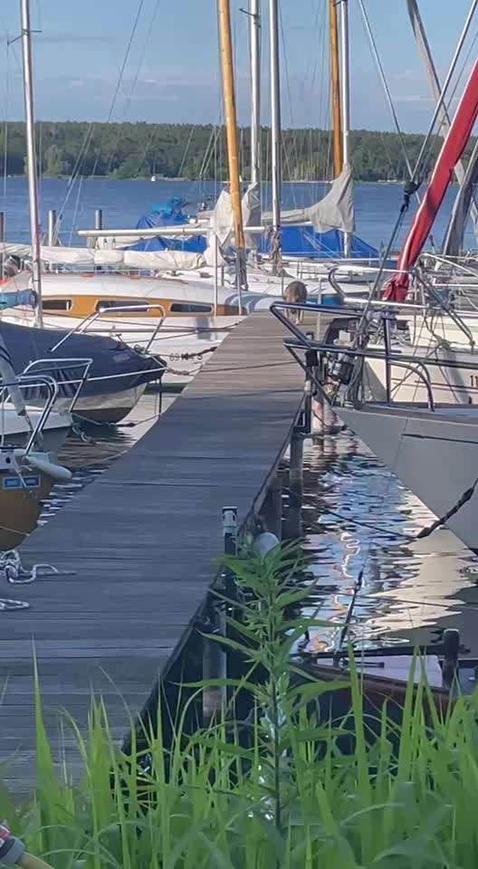 TierschutzhundeStammtisch🐕-Beitrag-Bild