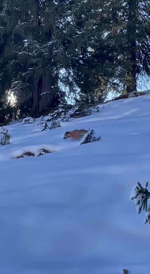 Was hat euch heute gefreut?-Beitrag-Bild