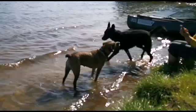 42. Handy Video Challenge-Beitrag-Bild