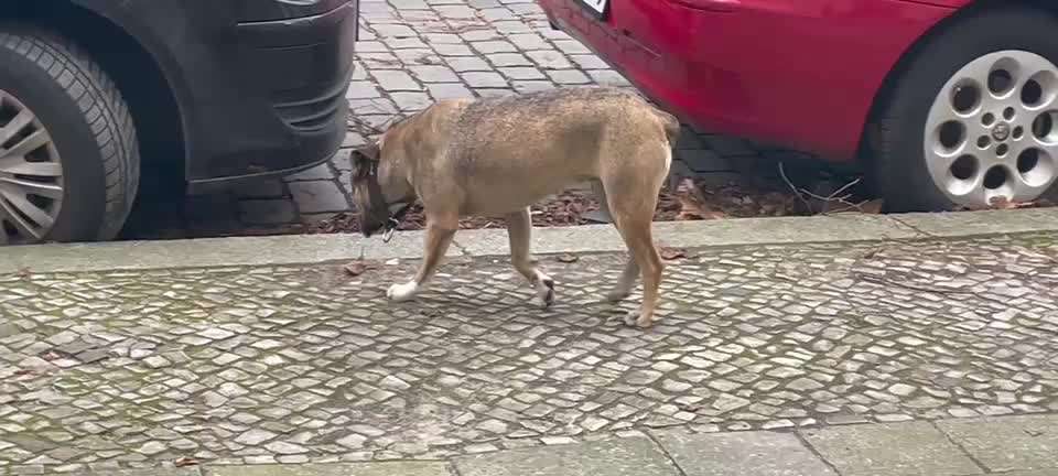 Gangbild/-analyse-Beitrag-Bild