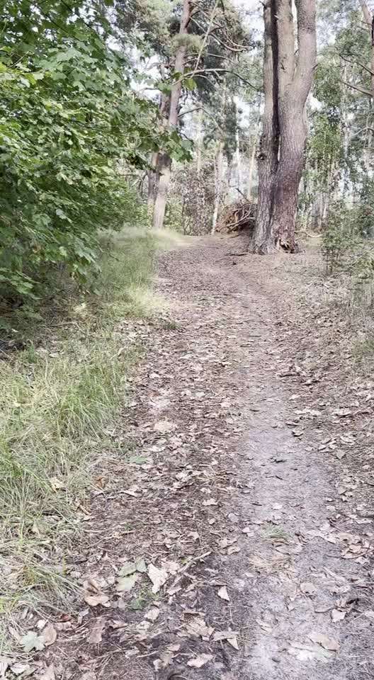 HANDY VIDEO CHALLENGE NR. 30: RÜCKRUF-Beitrag-Bild