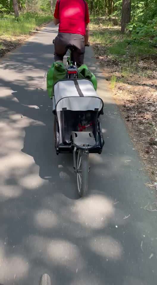 Mit Fahrradanhänger unterwegs?-Beitrag-Bild