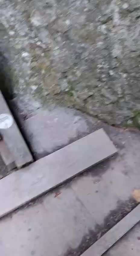 "Wege zur Freundschaft" (Ulli Reichmann)-Beitrag-Bild