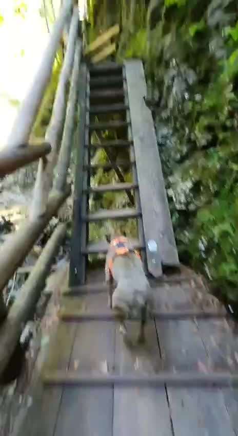 Gangbild/-analyse-Beitrag-Bild