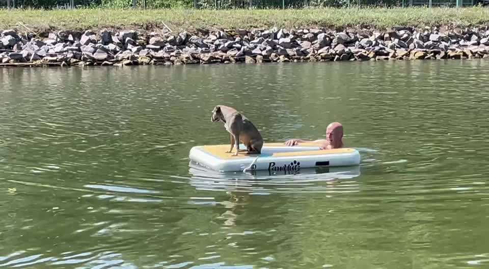 Was hat euch heute mit eurem Hund gefreut?-Beitrag-Bild
