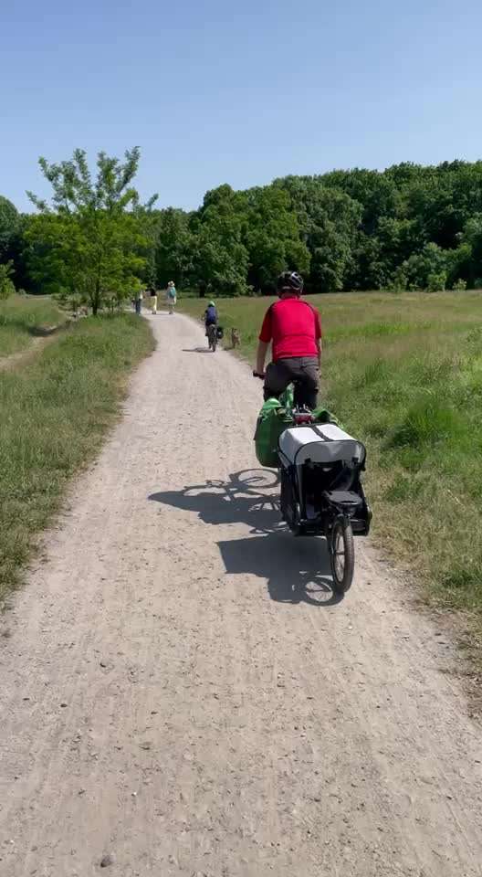 Radfahren mit Hund-Beitrag-Bild