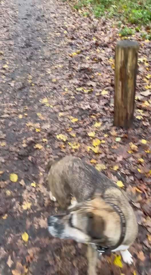 80. Trickspiel Balancieren-Beitrag-Bild