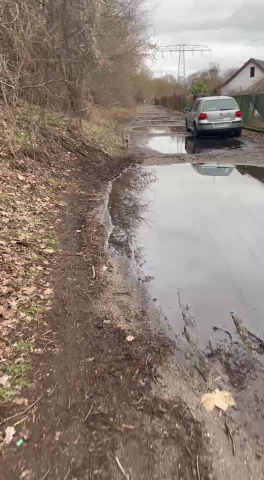 Impulskontrollübung Nr 69 : Ich achte auf Dich !-Beitrag-Bild