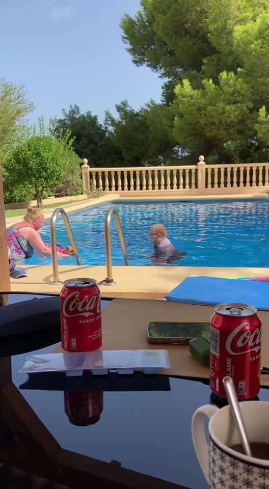 Französische Bulldoggen-Beitrag-Bild