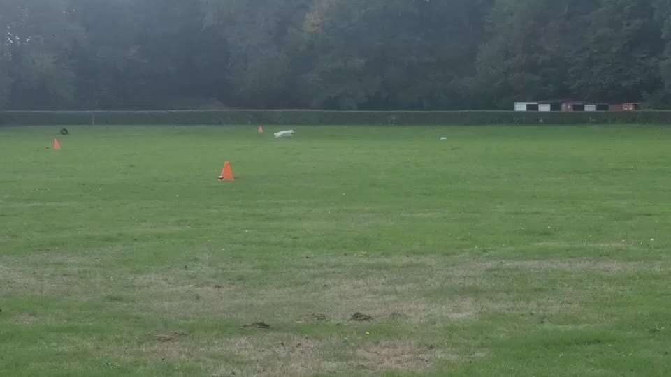 Windhunde - Treffen der besonderen Schönheiten
HERZLICH WILLKOMMEN-Beitrag-Bild