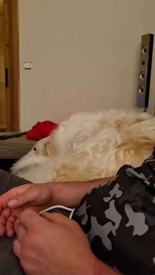 Hier ist der Spaßthread. Zum Schmunzeln und Kaputtlachen-Beitrag-Bild