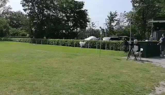 Windhunde - Treffen der besonderen Schönheiten
HERZLICH WILLKOMMEN-Beitrag-Bild