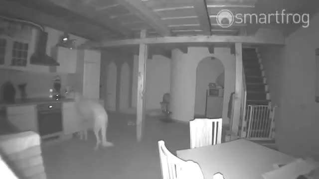 Hier ist der Spaßthread. Zum Schmunzeln und Kaputtlachen-Beitrag-Bild