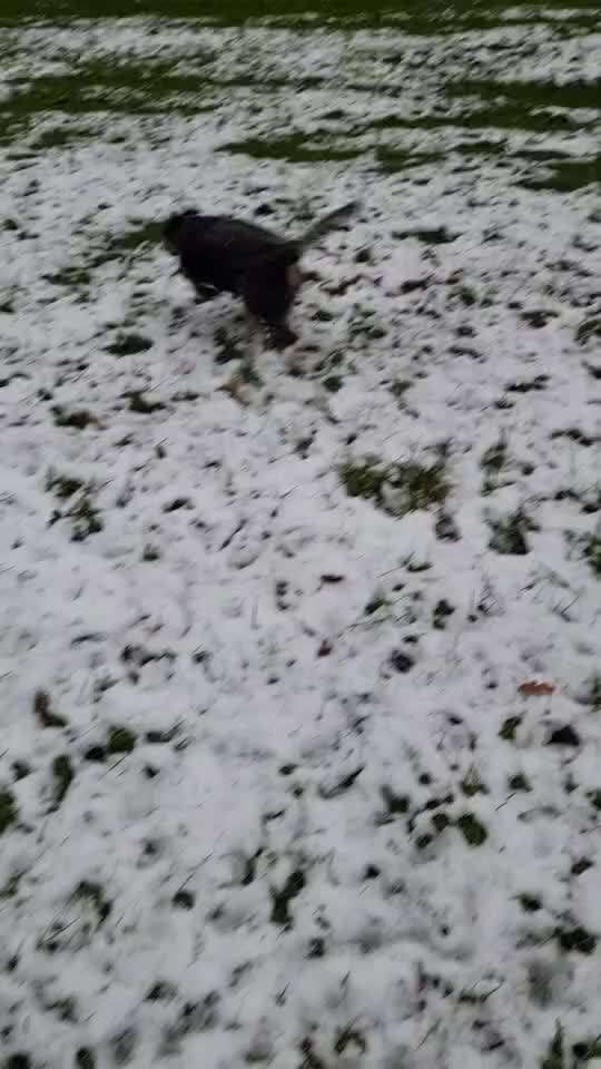 Was hat euch heute gefreut?-Beitrag-Bild