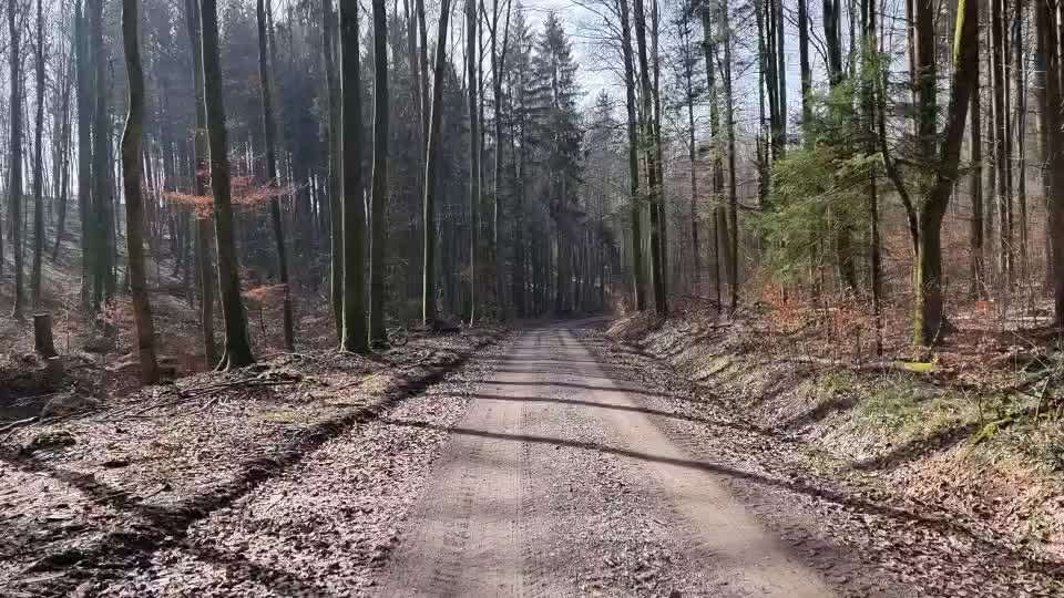 Was hat euch heute gefreut?-Beitrag-Bild