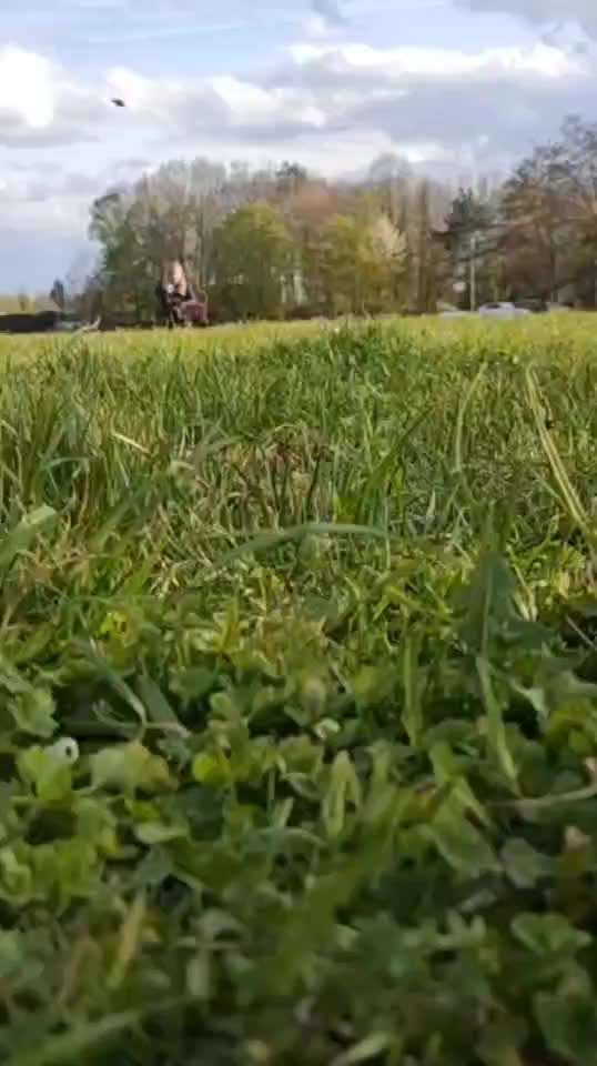 42. Handy Video Challenge-Beitrag-Bild