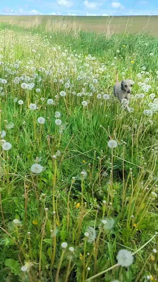 Zeitlupe-Beitrag-Bild