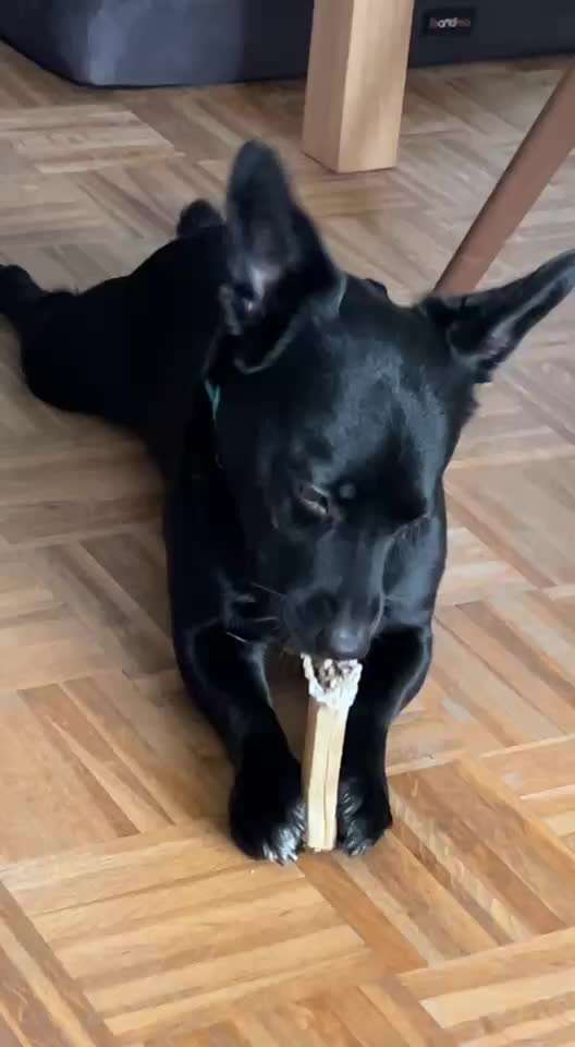 Wie habt ihr den Silvesterabend verbracht?-Beitrag-Bild