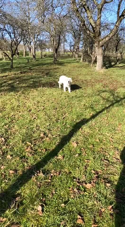 15. Video Challenge.  In SloMo die Welt erkunden!-Beitrag-Bild