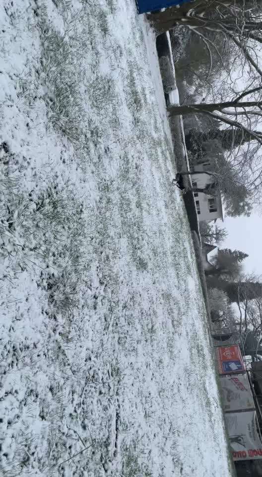 Windhunde - Treffen der besonderen Schönheiten
HERZLICH WILLKOMMEN-Beitrag-Bild