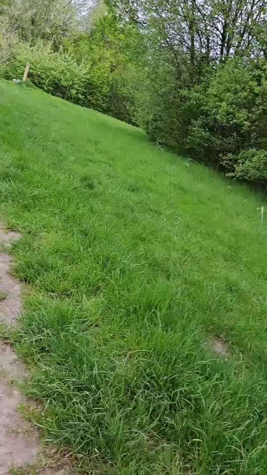 HANDY VIDEO CHALLENGE NR. 30: RÜCKRUF-Beitrag-Bild