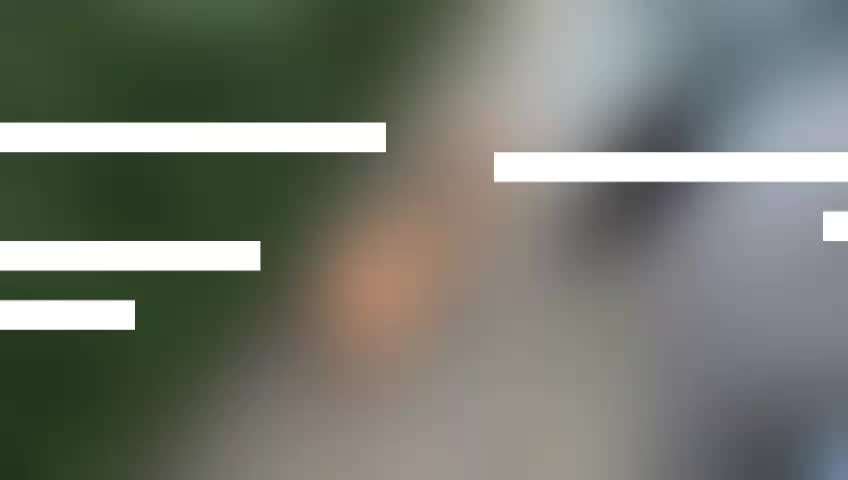 Mantrailing-Beitrag-Bild