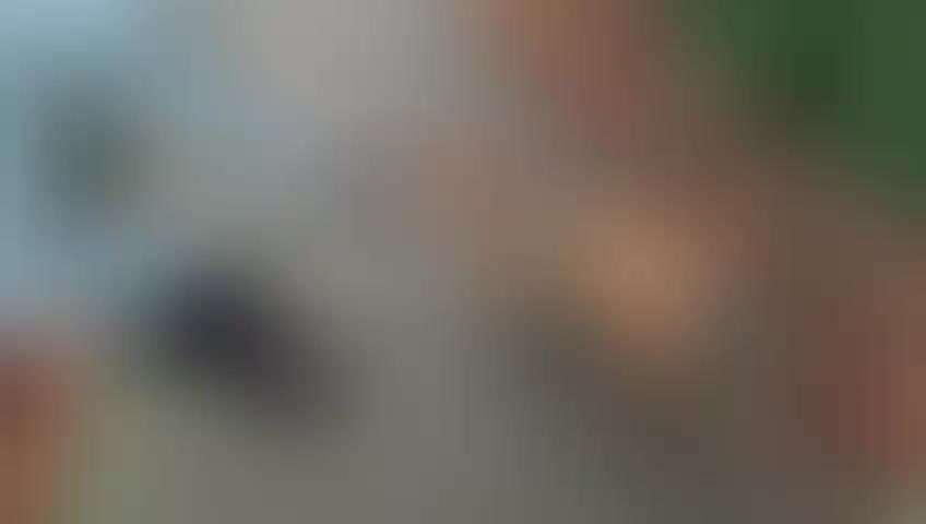 Mantrailing-Beitrag-Bild