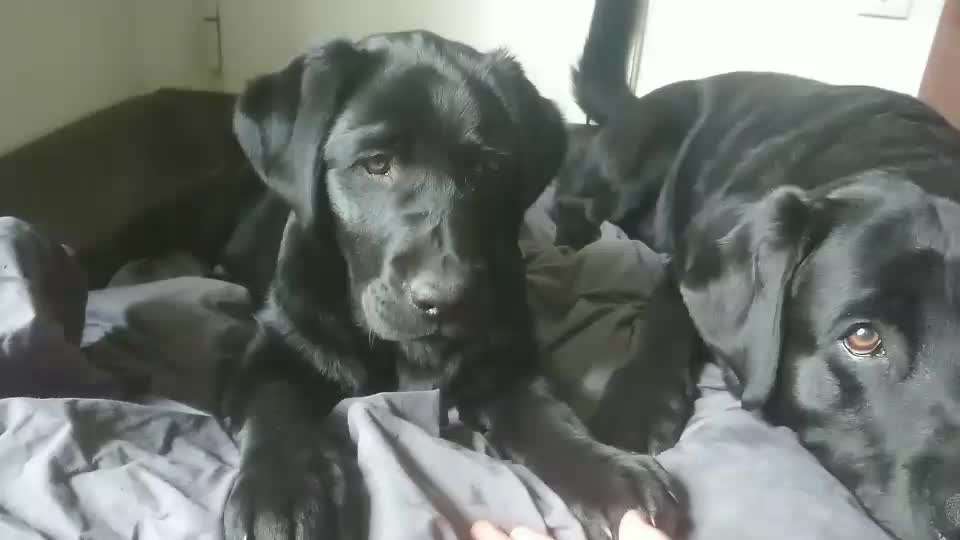 TRICK CHALLENGE NR. 10-Beitrag-Bild