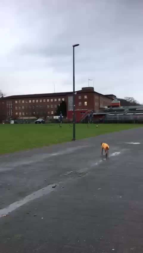 Was hat euch heute gefreut?-Beitrag-Bild