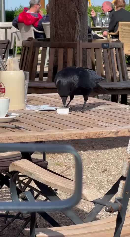 "Wege zur Freundschaft" (Ulli Reichmann)-Beitrag-Bild