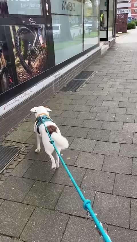 Auto fahren-Beitrag-Bild