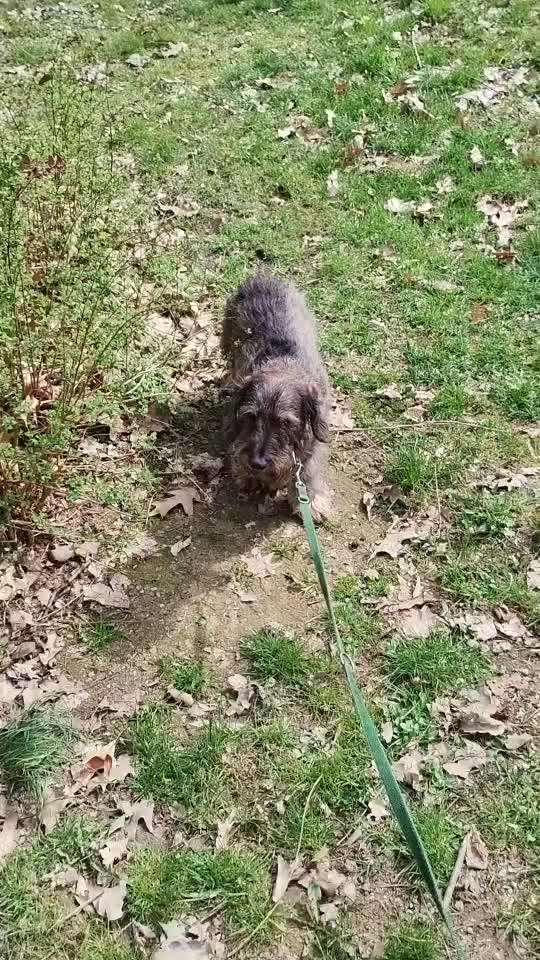 Was hat euch heute genervt?-Beitrag-Bild