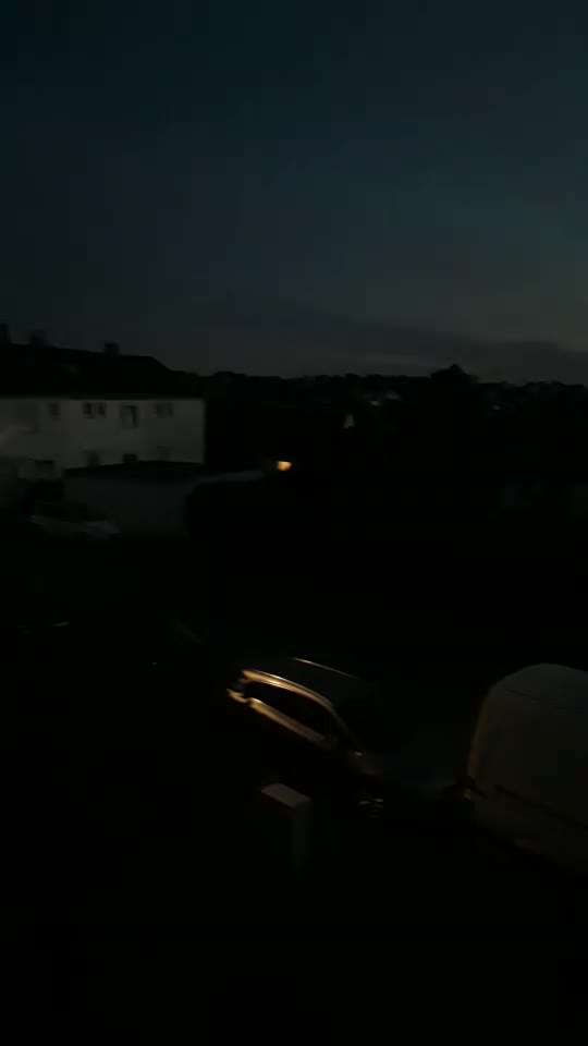 Die wunderschöne Welt mit Hund.-Beitrag-Bild